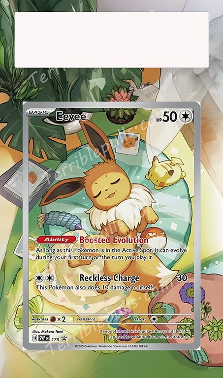 Pokemon Extended Art Insert for PSA Slab + Black Case- Eevee 173 Promo NO CARD