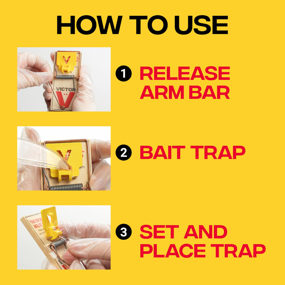 Mouse Traps - 16 Pack