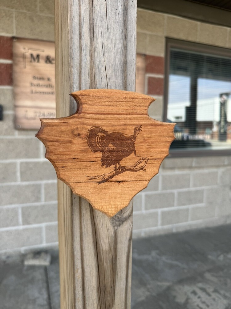 Turkey Tail & Beard Hardwood Plaque