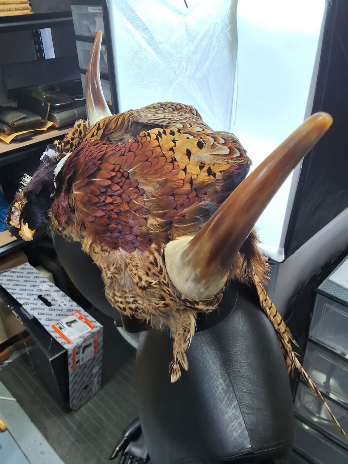 Novelty Taxidermy Leather Pheasant Viking Bomber Hat