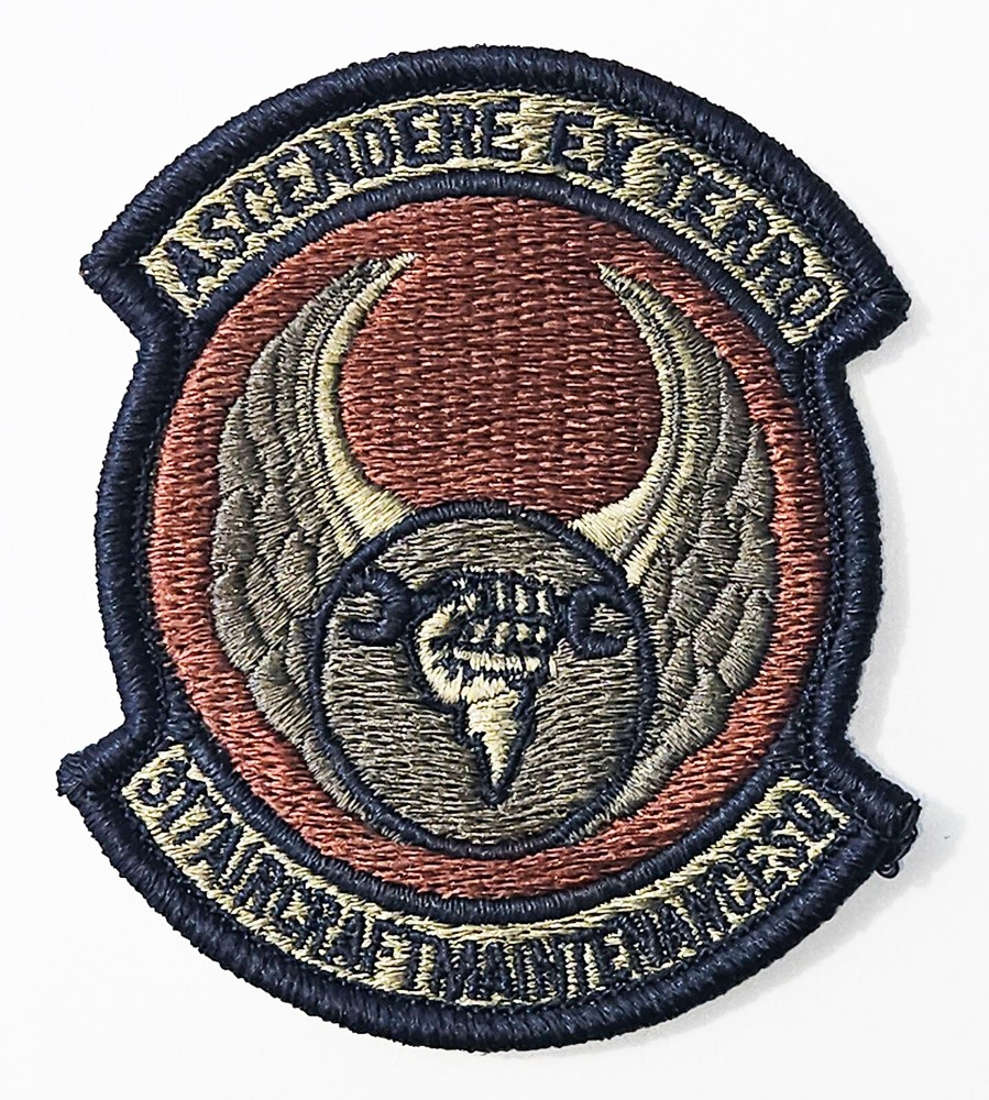Air Force 317th Maintenance Squadron Spice Brown Hook Back Patch