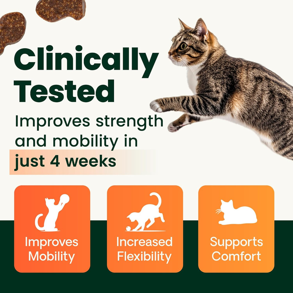 Vetriscience Extra Strength Healthy Hip & Joint Chews, Glycoflex Glucosamine and