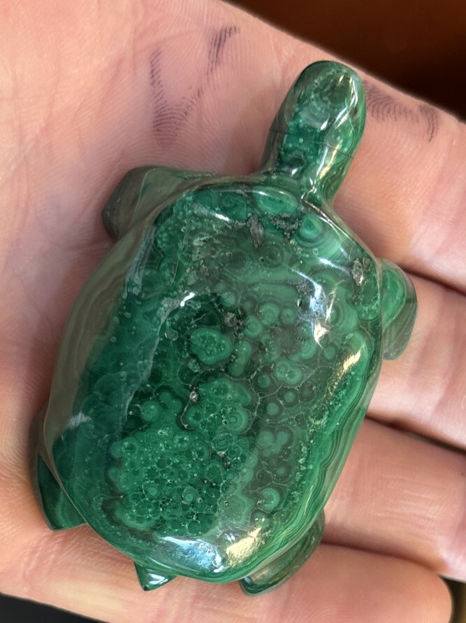 2” Malachite Turtle
