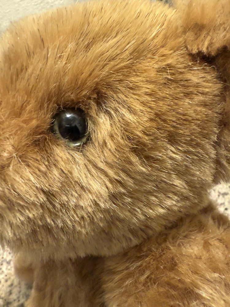 Vermont Teddy Bear ~ Authentic