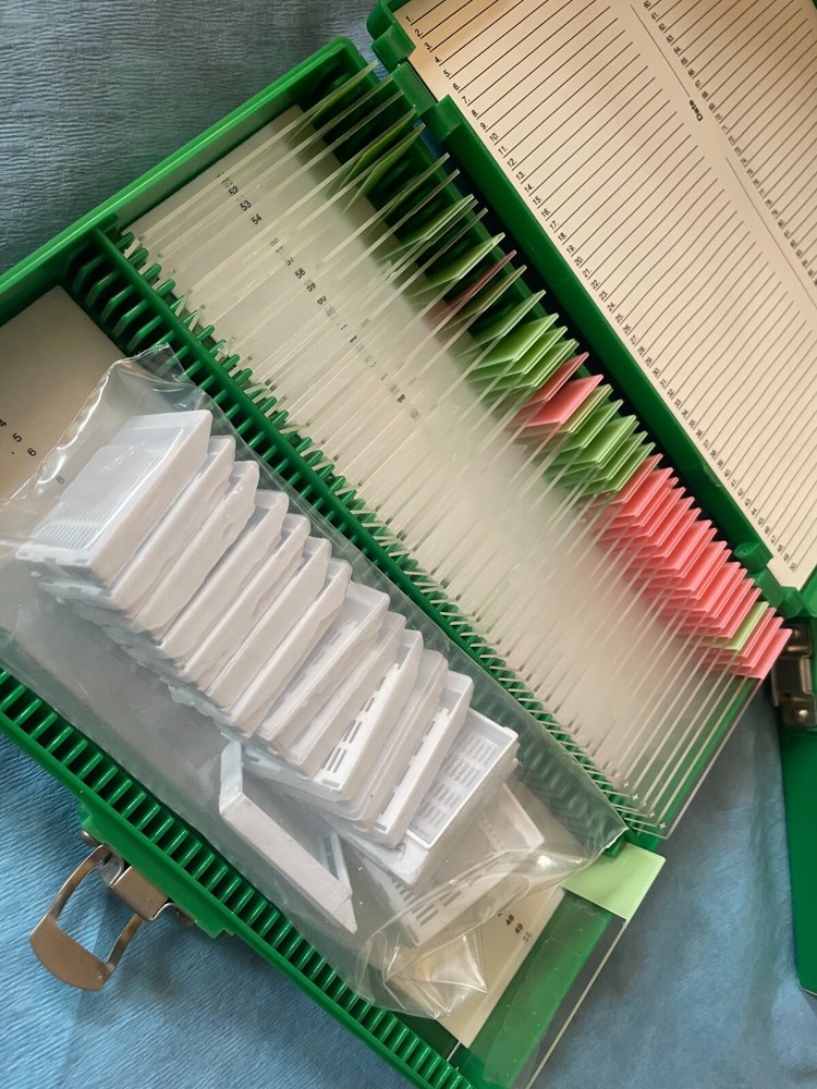 Four Microscope storage boxes with mouse tissues slides, 10,11,12,13