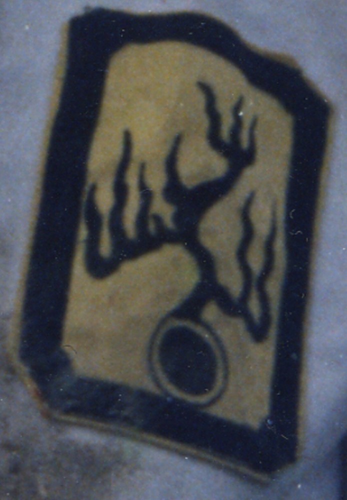 Bruce Lee "Enter The Dragon" Han's Tournament Patch