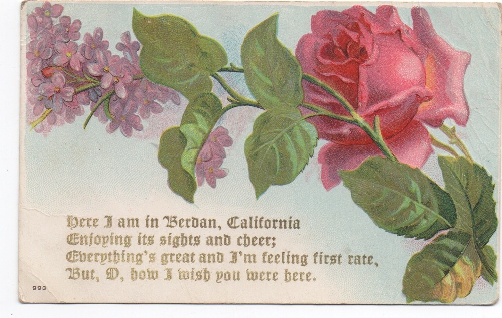 1909 Postcard with nice Cancel from Forest Ranch CA