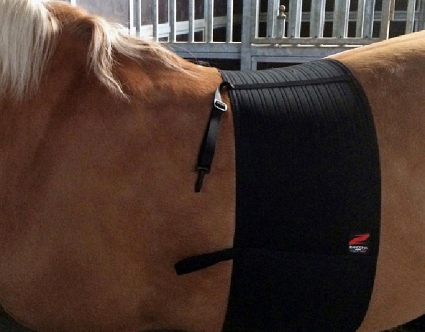 Respect Band Zandona Basic Chafe Guard