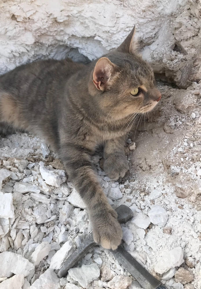 talc - soft white talc - hand/display specimen