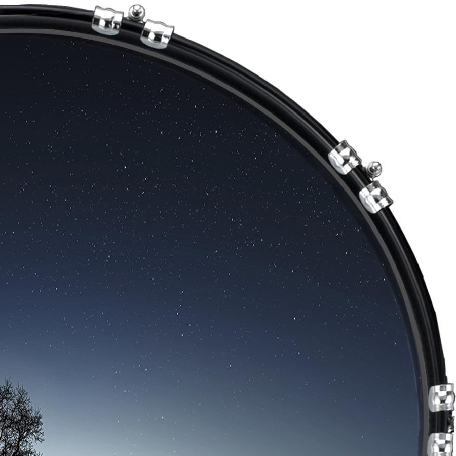 Aquarian 22" Kick Bass Drum Head Graphical Image Front Skin Lone Tree