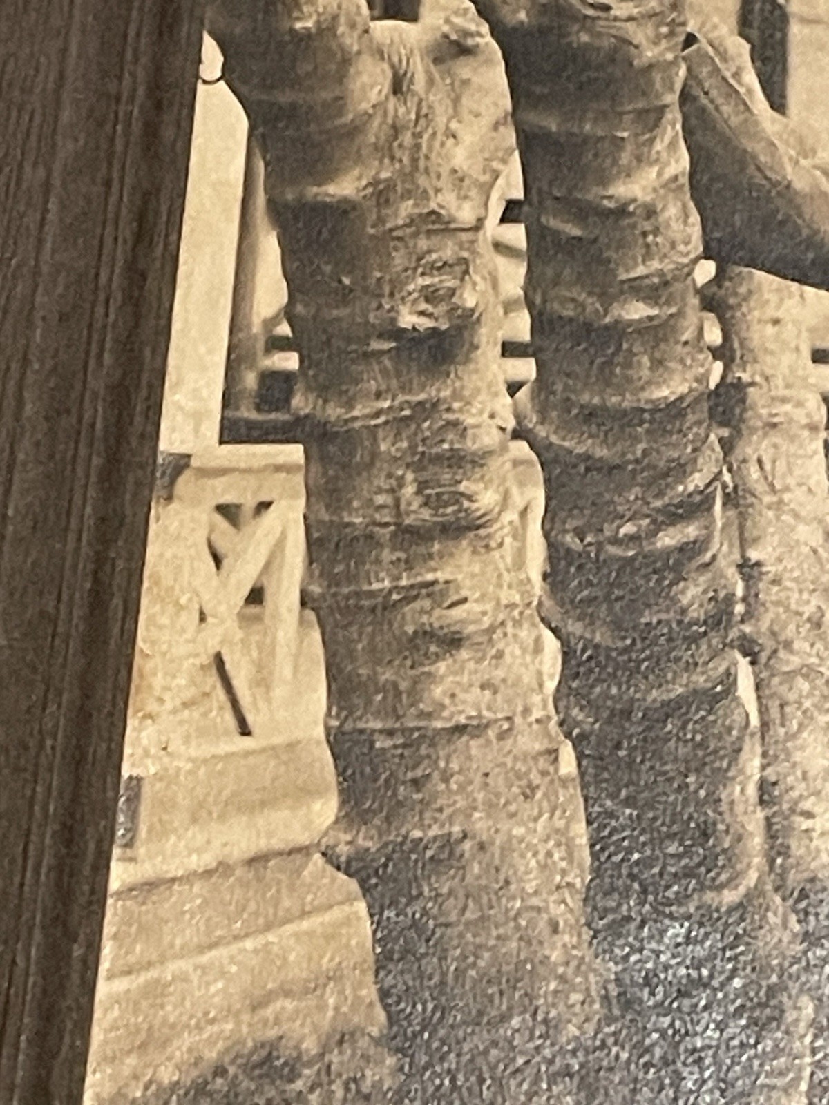 WW1 Photograph Young Military Soldier In Uniform With Medal & Hat - Sepia Color