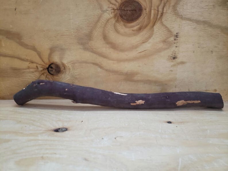 2 Manzanita branches 19"-21" #135