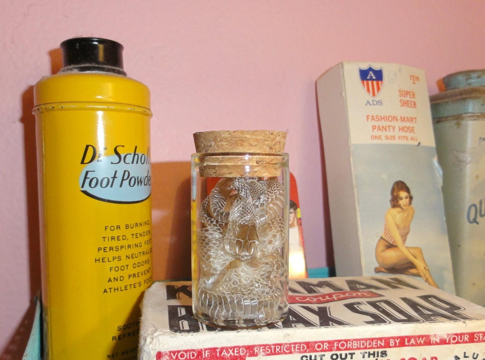 Snake Skin Small Oddity Jar curiosity glass vial reptile goth nature art