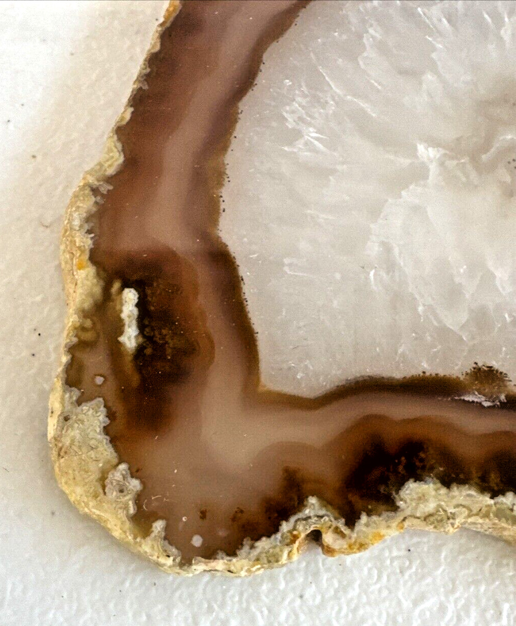 Beautiful Earth Tone Geode Slice Polished Natural Geode Mineral Rock Stone 5” W