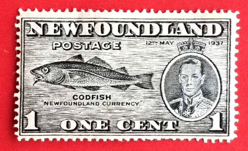 Canada Newfoundland #233 Long Coronation Issue - Codfish MH