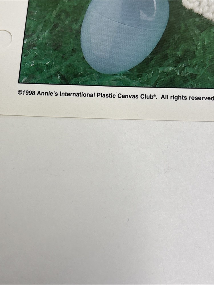 Chick Wall Hanging Annie's Attic Plastic Canvas Pattern Page