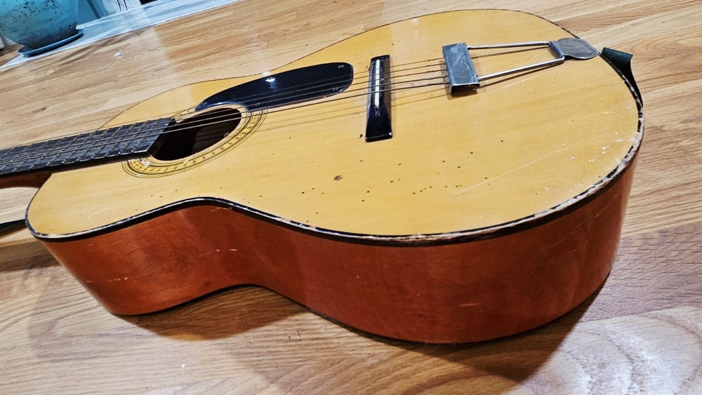 NORMA FG 6 Acoustic Guitar with Case
