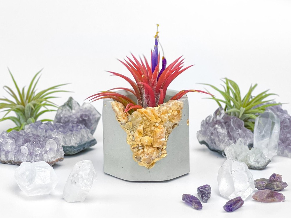 Raw Orange Calcite Crystal Planter Geode Planter Mini cute