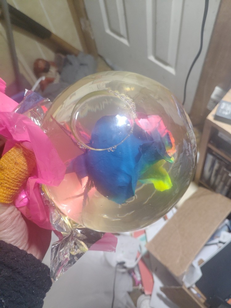 Rainbow Enchanted Rose Globe