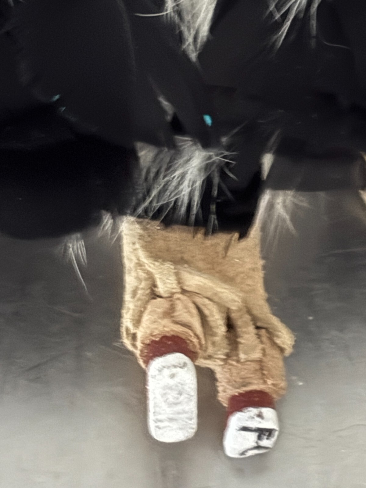 Kachina Signed Eagle Dancer Ornament Vntg Native American 4.5x6" FREE SHIPPING