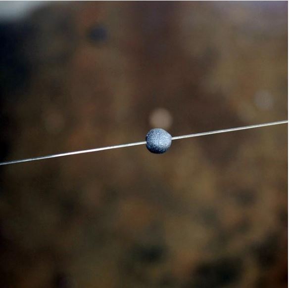 LOON Deep Soft Weight