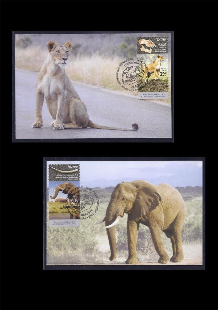 ISRAEL 2018 ARCHEOZOOLOGY ELEPHANT LIONESS ARCHAEOLOGY 2 STAMPS MAXIMUM CARDS