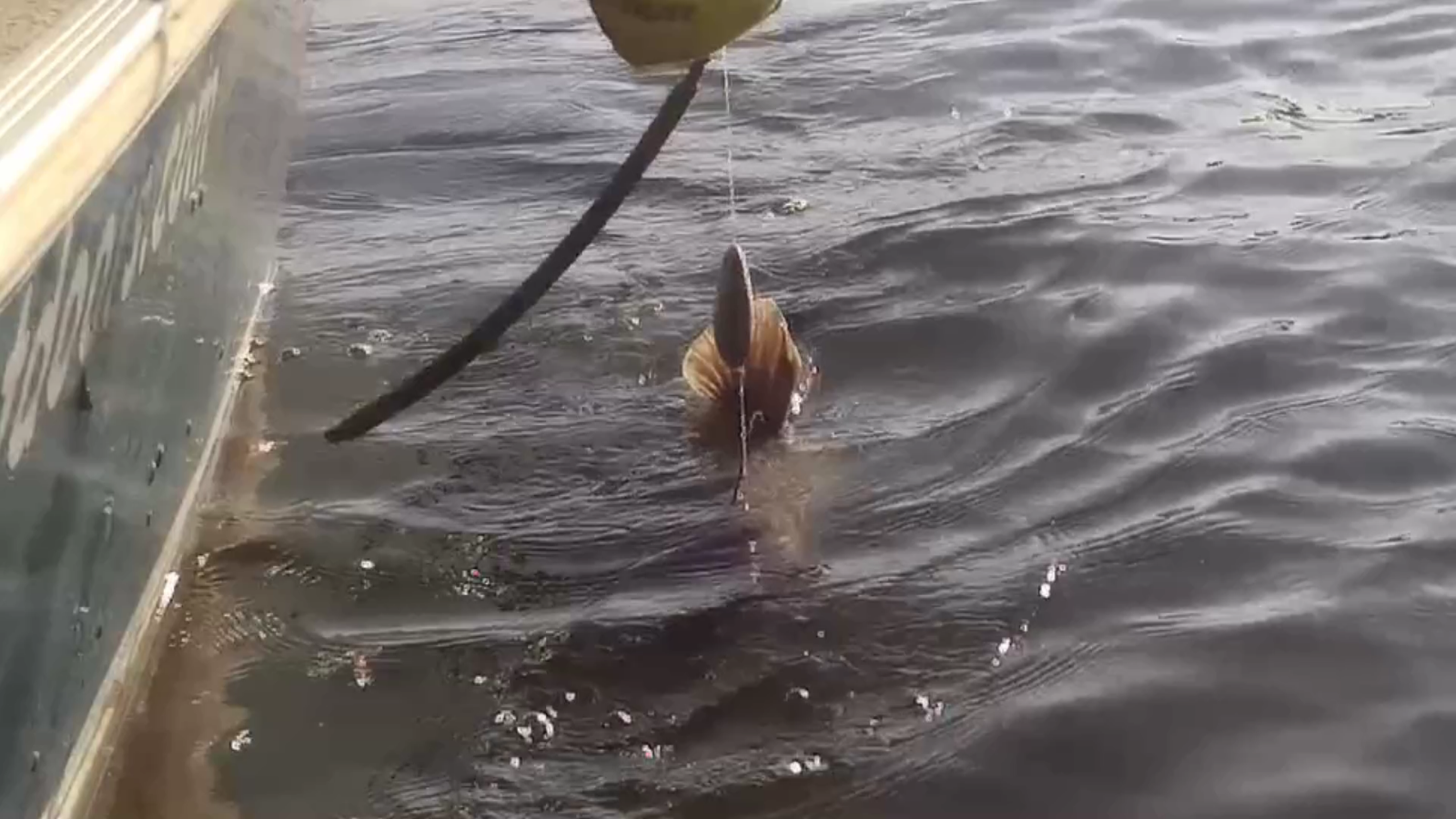 Dragging Drift Sinkers Snagless Weights Catfish 2oz