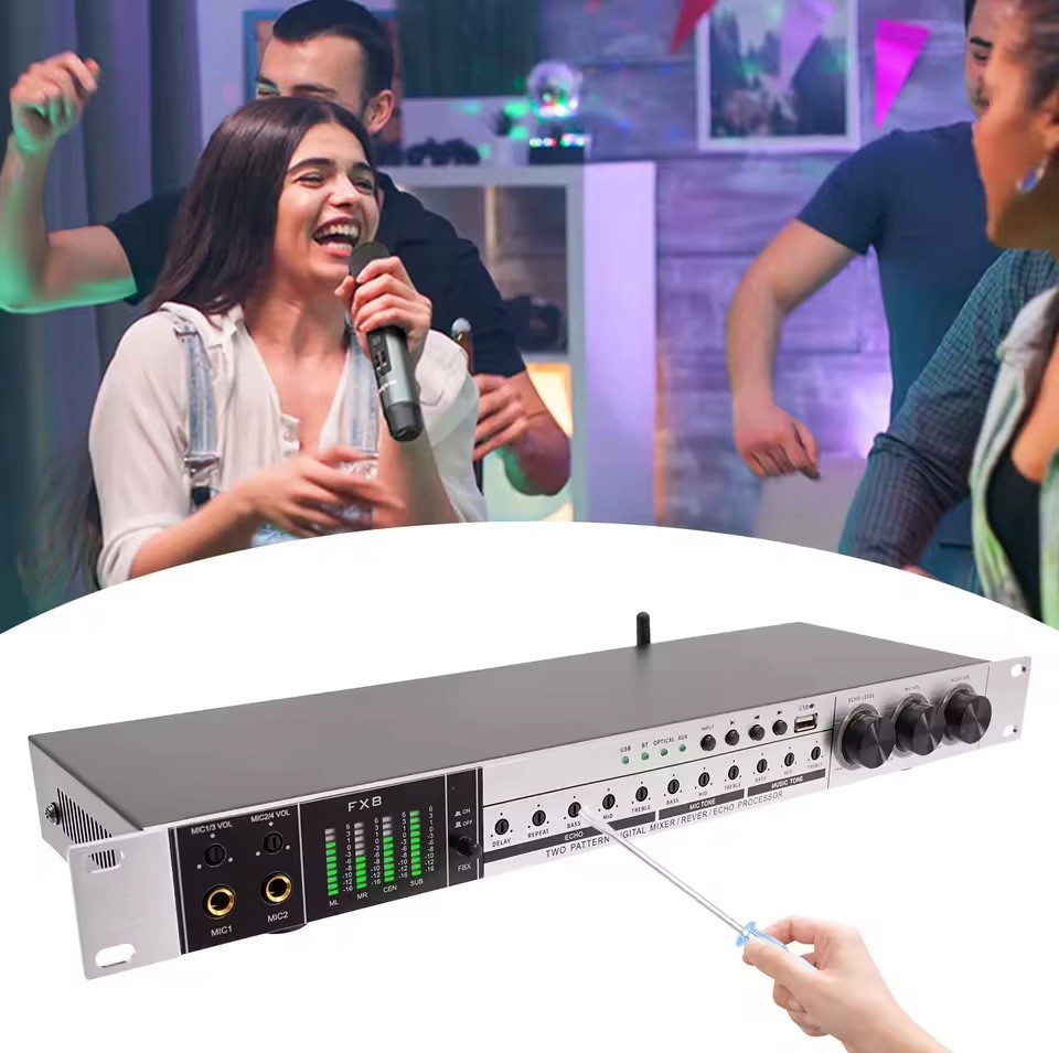 New Karaoke Pre-Effects KTV Professional Digital Audio Echo Effect Processor DSP