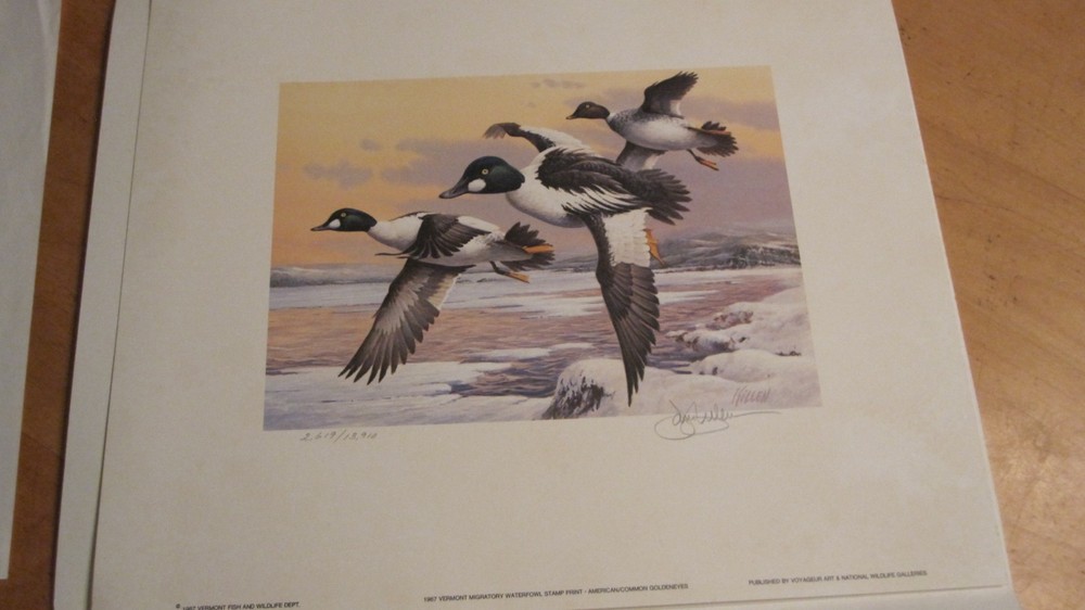 1987 VERMONT MIGRATORY WATERFOWL STAMP & PRINT SIGNED BY KILLEN