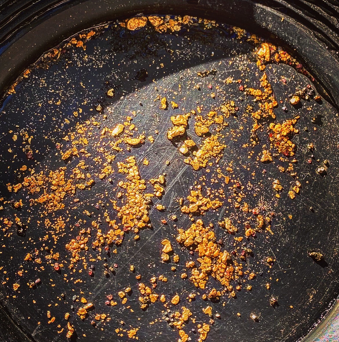 Presidential 10 Gram Gold Nugget Hunt Rich Unsearched Paydirt With Added Gold