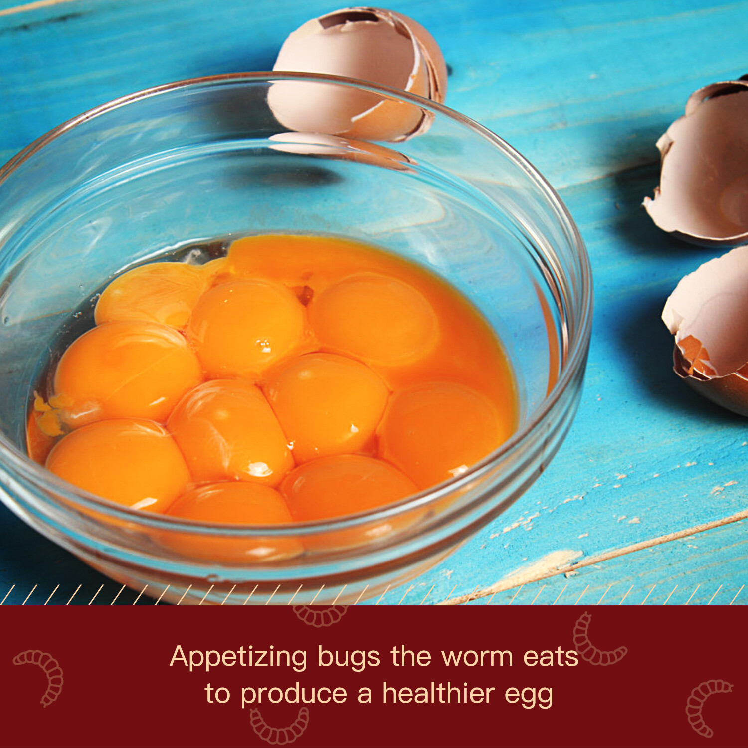 22 LBS Dried Black Soldier Fly Larva High Calcium Treats for Chickens Birds