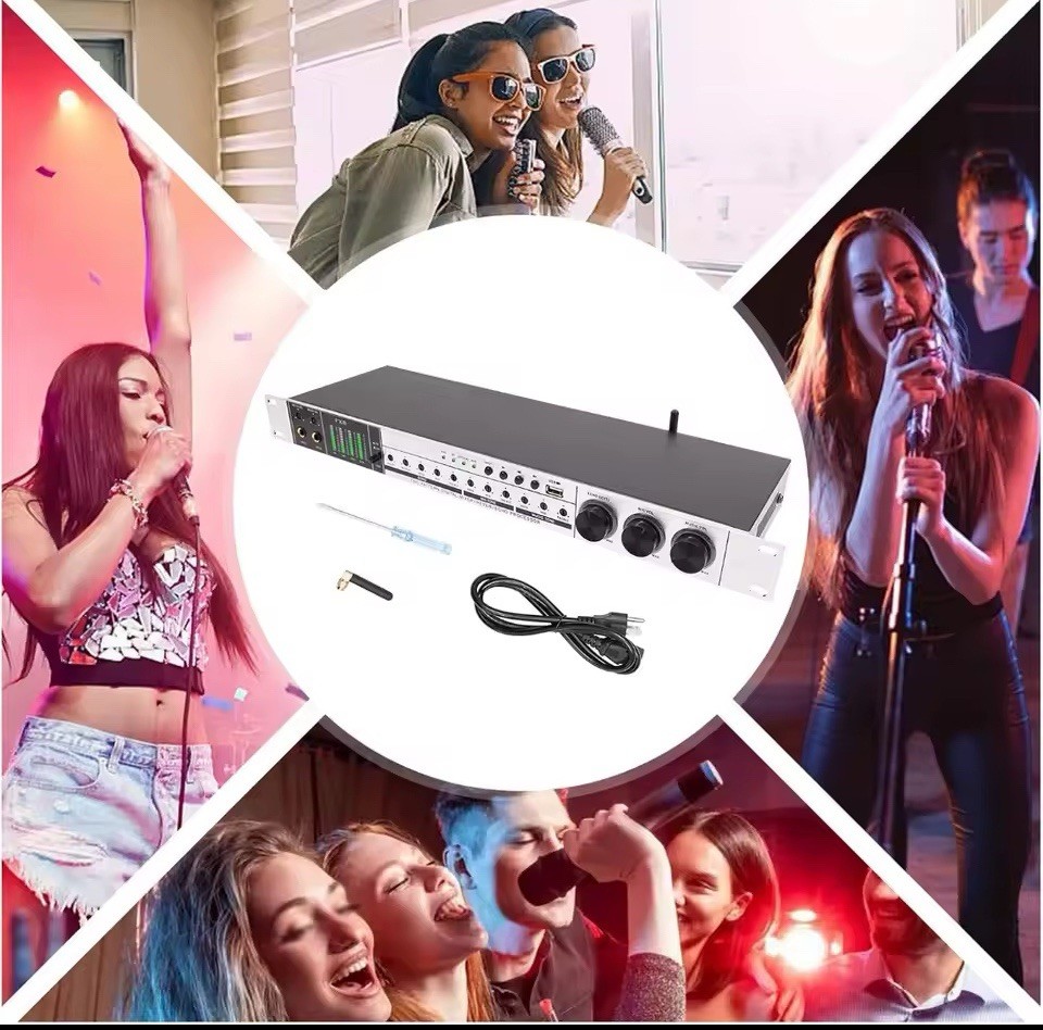 New Karaoke Pre-Effects KTV Professional Digital Audio Echo Effect Processor DSP