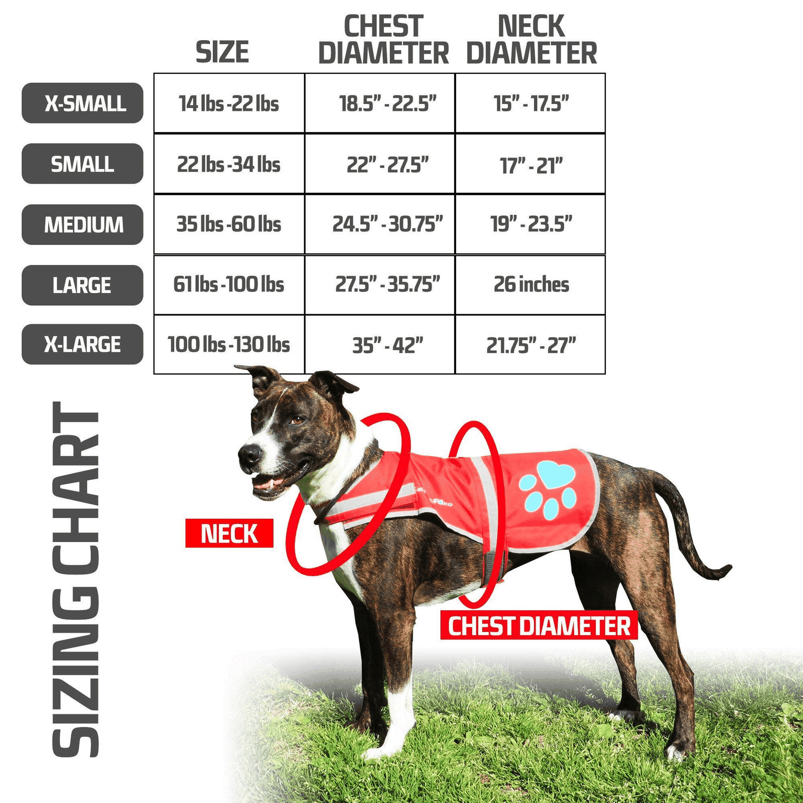 Dog Reflective Vest – Multiple Color Options with Hi Vis Fluorescent Visibility