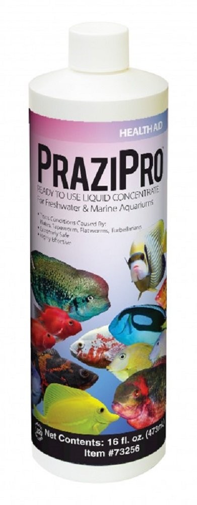 Hikari Prazipro 16oz 8 oz, black