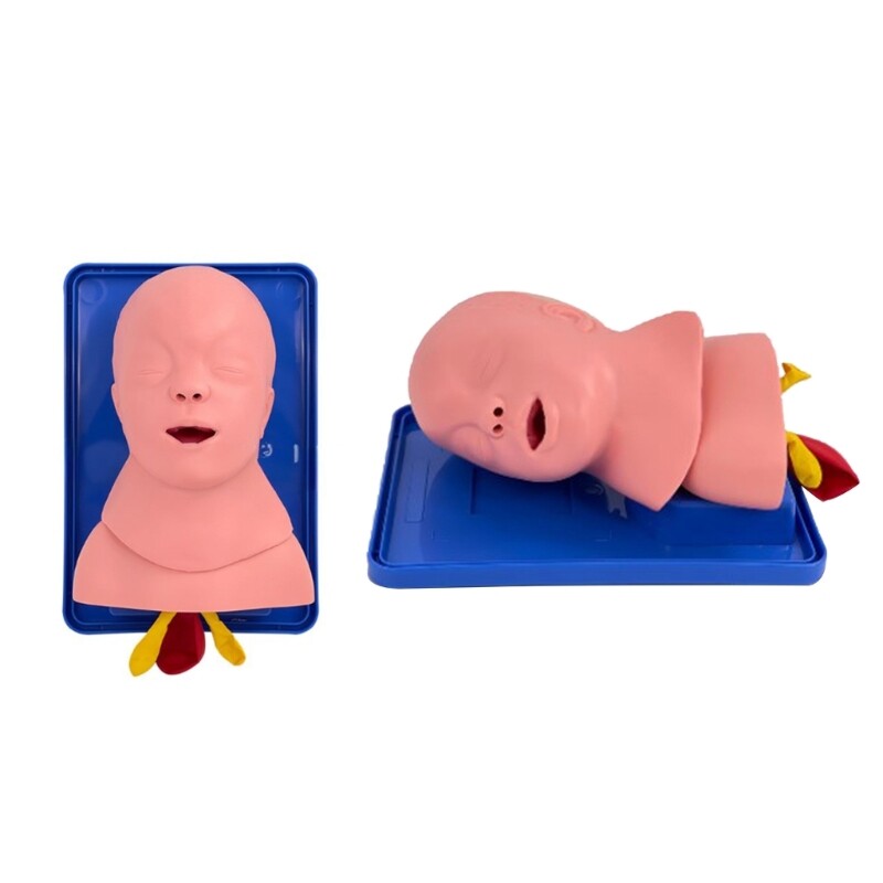 Human Baby Tracheal Intubation Training Model