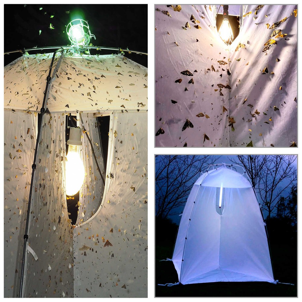 BugDorm Night Collecting Tent