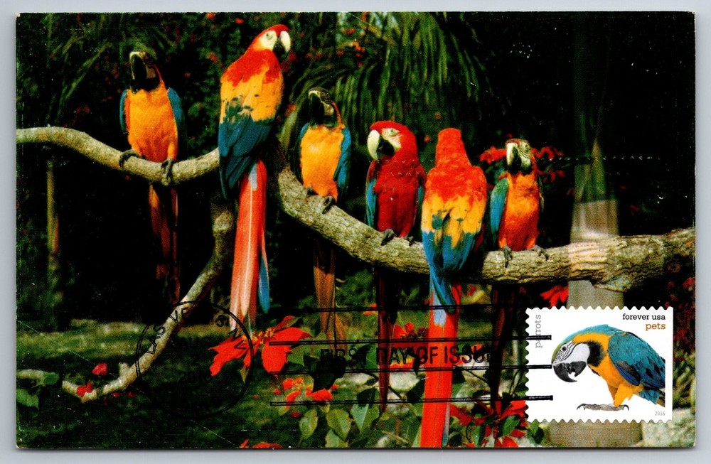 #5115 Pets Parrots FDC Maxi Card
