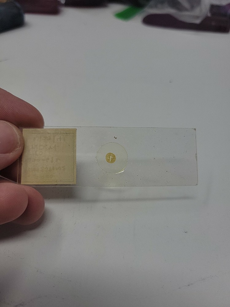 Vintage Microscope Slide 1941