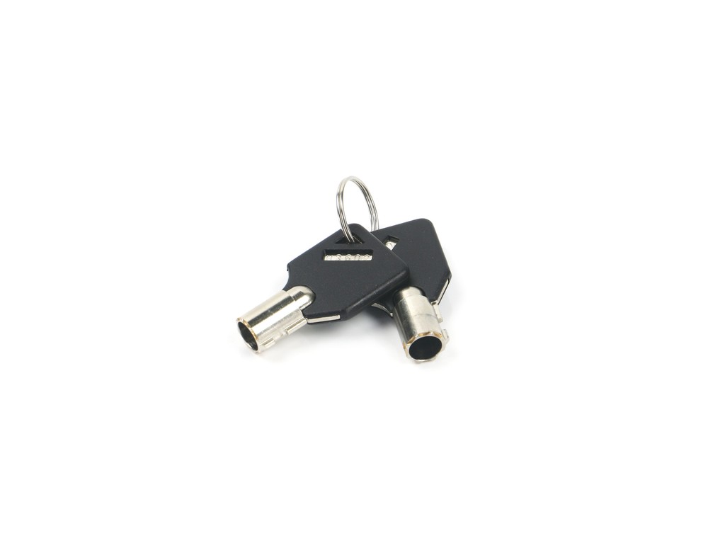 Weigh Safe WS09 WeighSafe Keys x2