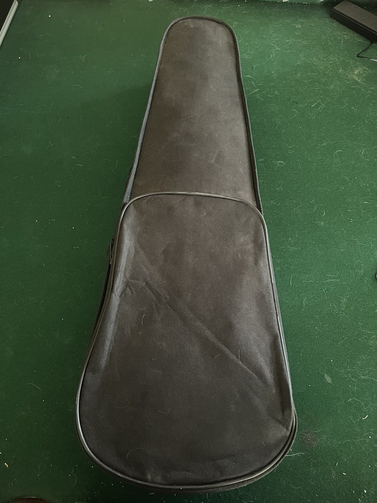 First Frets Violin 4/4 With Case And Bow Used