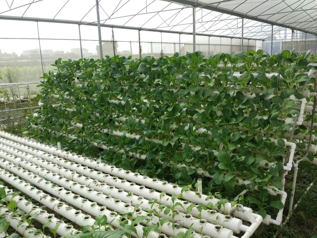 54 Plant Sites Hydroponic Site Grow Kit with Pump Water Culture Garden System