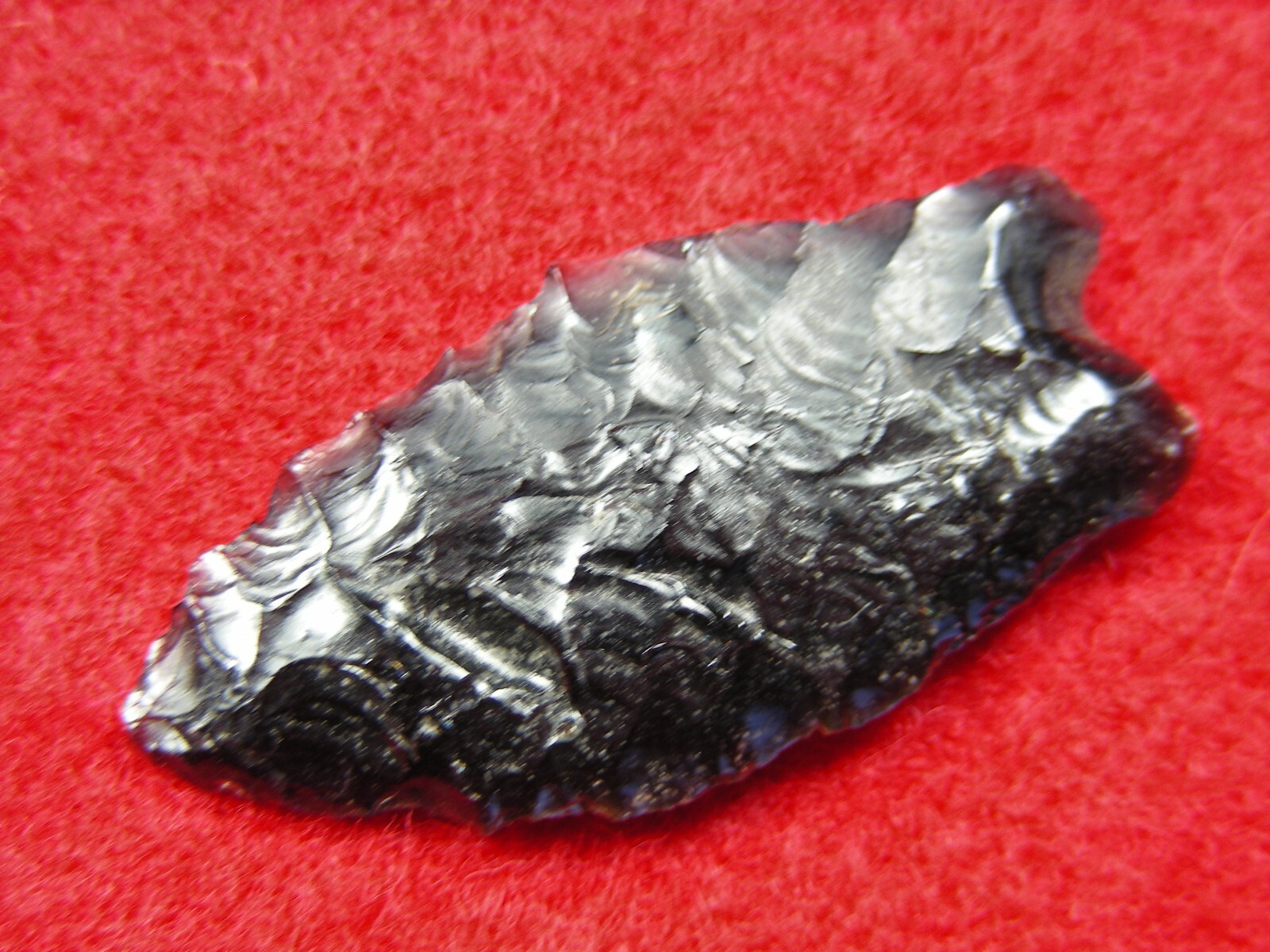 HUMBOLDT 1-1/2" CALIFORNIA Authentic Indian Relics