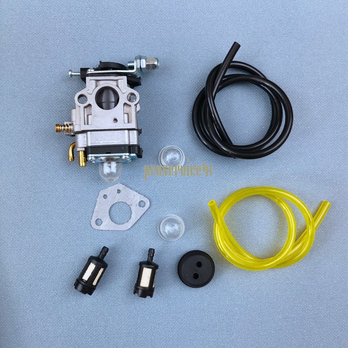 Carburetor for Thunderbay Y43 Auger Power Head Y2007 Mini Cultivator 430025 Carb