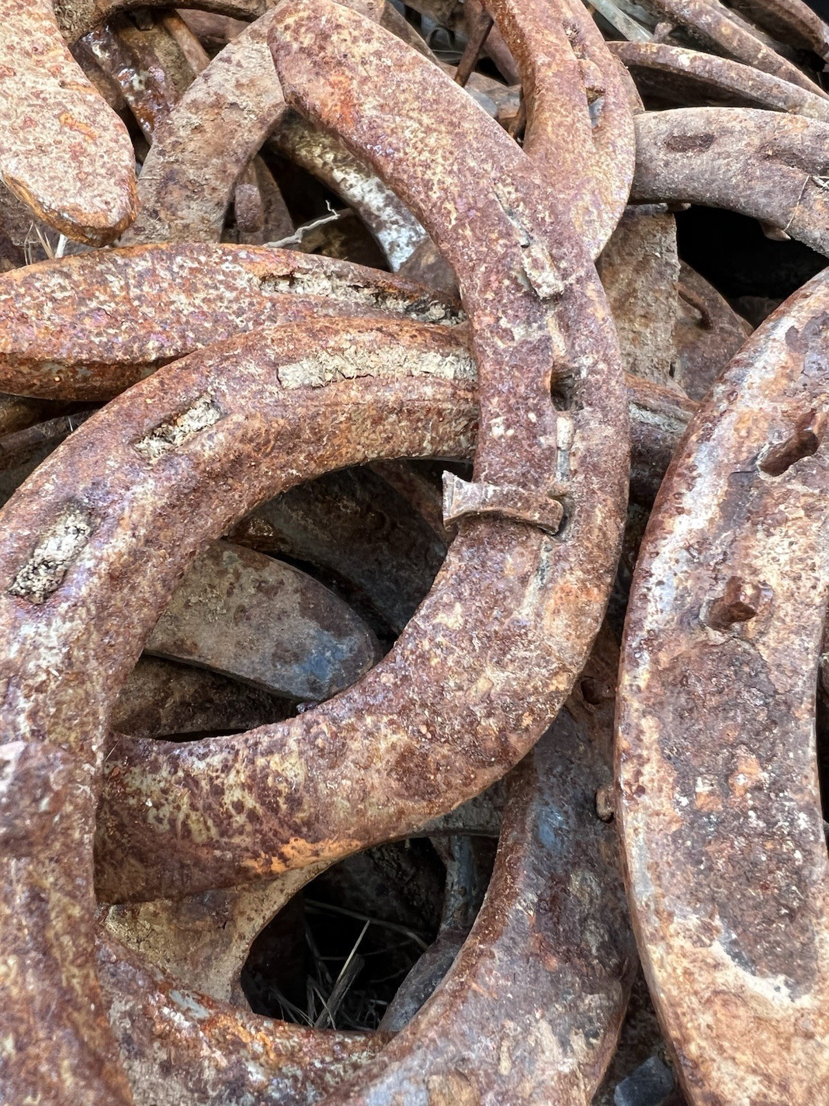 50 Used Steel Nevada Rusty Horseshoes W/Nails Lot Art Decor Rustic Western Weld