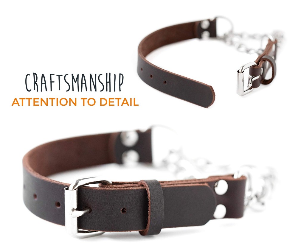 Mighty Paw Martingale Dog Collar - No Pull Design - Stainless Small, Brown