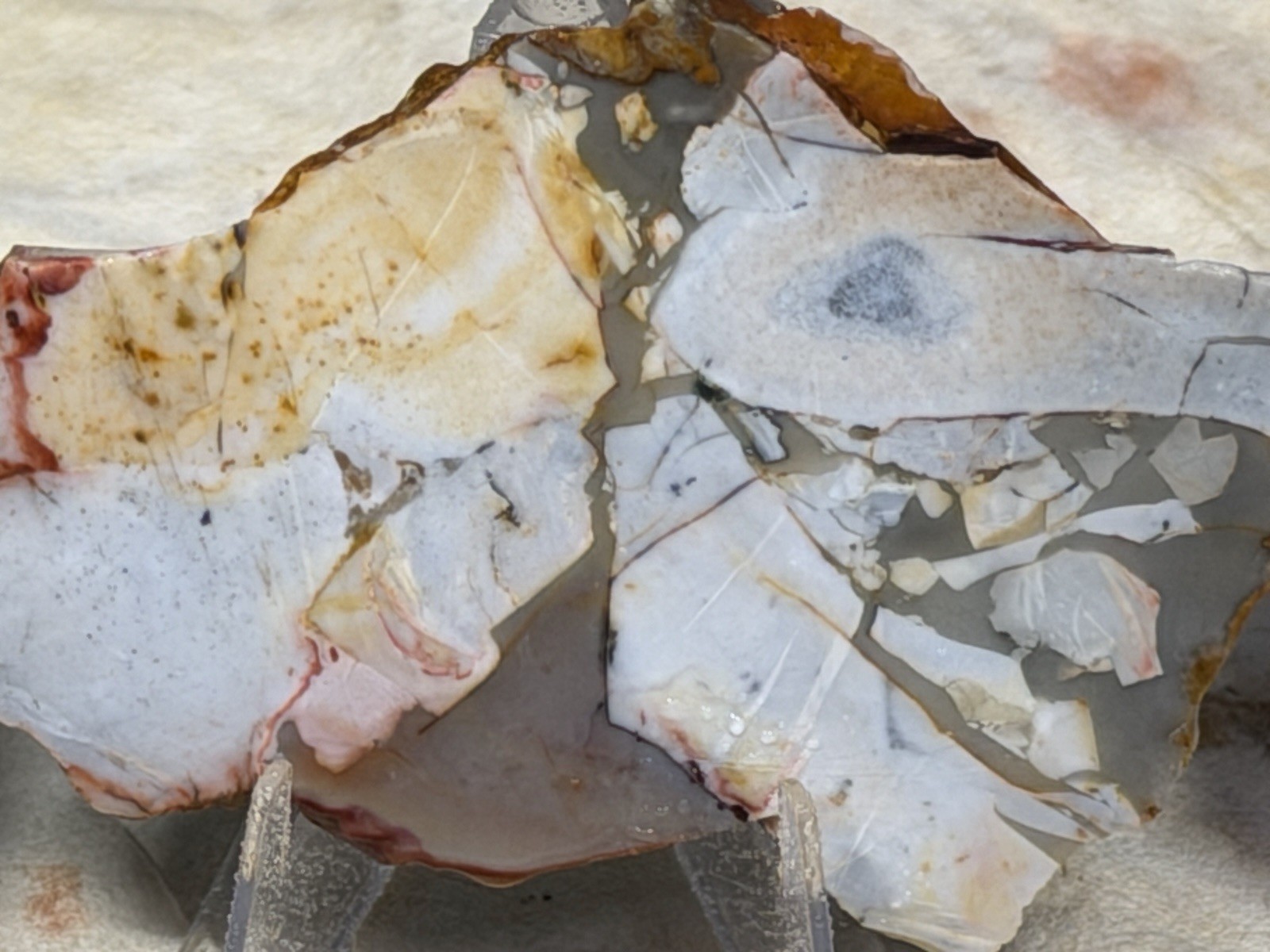 Whiskey Creek Jasper Slab Set , Lot#304