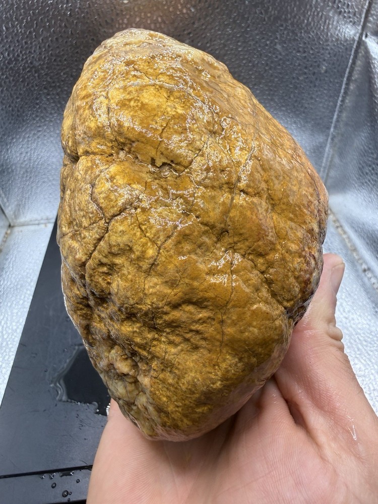 Ancient Fossilized Indiana Geode Agate 5,420 Carats