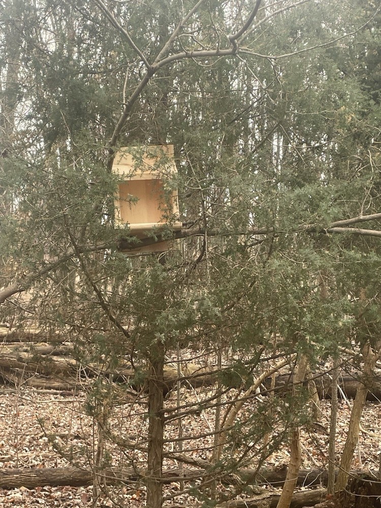 Pine Wood Robin Nesting Box~Dove Nesting Box~Cardinal Home~phoebe Nesting Box