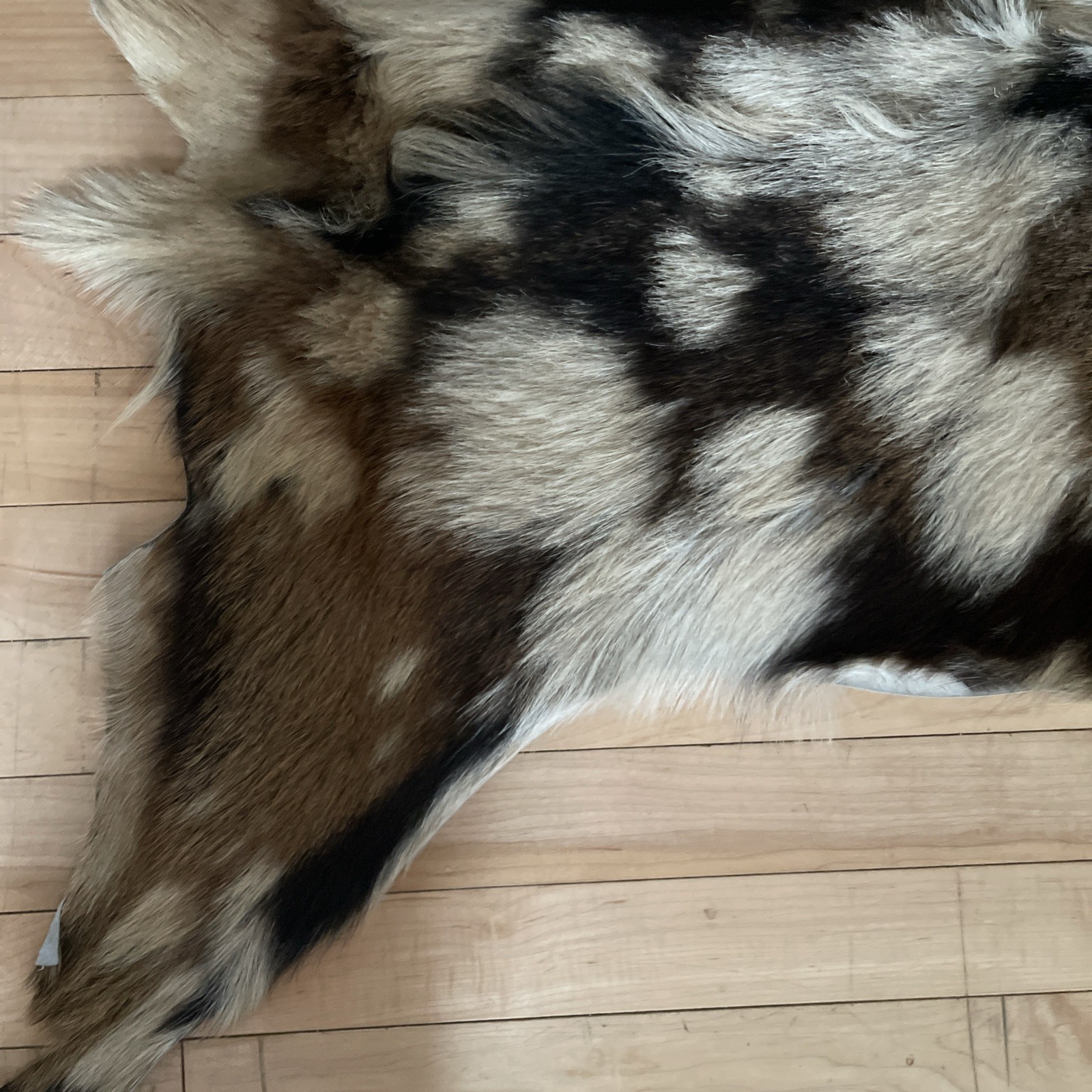 Real Goat Hide Skin Rug Multicolor 38” by 31”