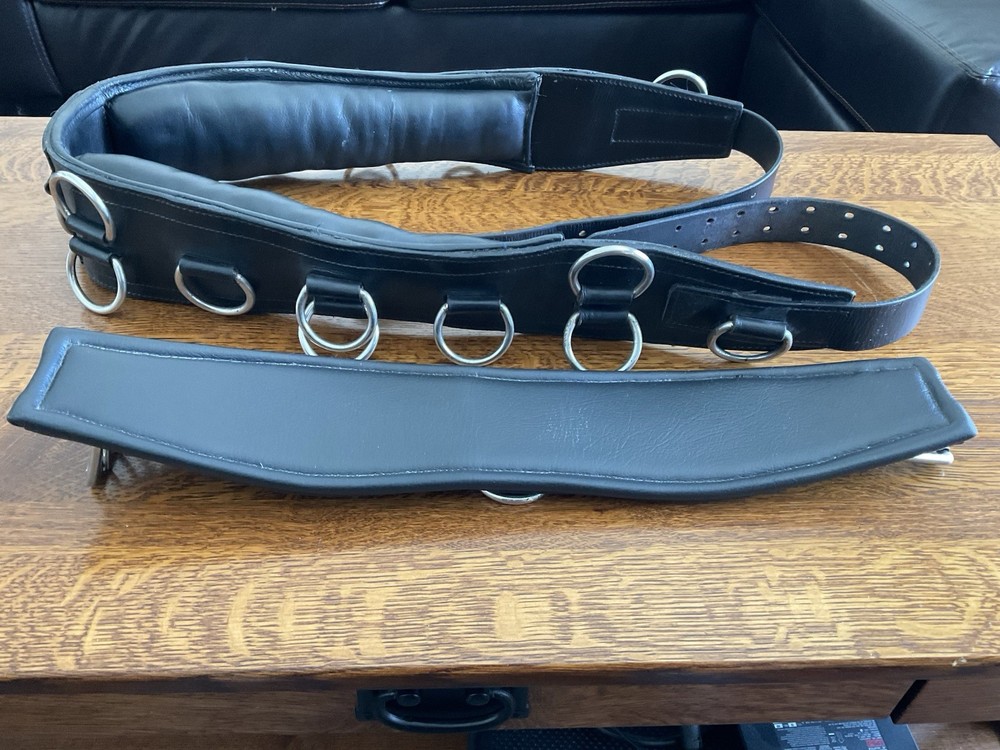 Training Surcingle, Horse Size. All Leather with Multiple Rings.